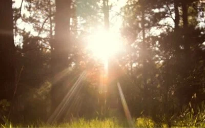 Le soleil et la vue